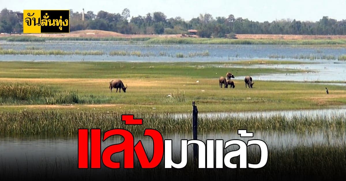 เตือน! ภัยแล้ง กระทบโคราช 8 อำเภอ