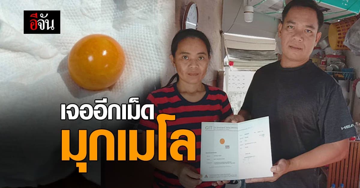 ยิ่งกว่าถูกหวย! หนุ่มรถบรรทุก เจอ “ มุกเมโล “ ของแท้ ราคาเป็นล้าน! ใน หอยกระโจงโดง จาก สะพานปลาชลบุรี