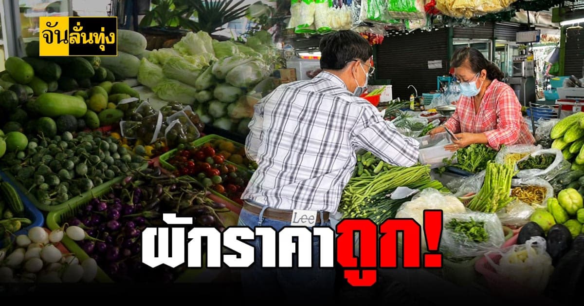 กรมส่งเสริมการเกษตร เตรียมลงพื้นที่ เพชรบูรณ์ แก้ปัญหา ผักราคาถูก