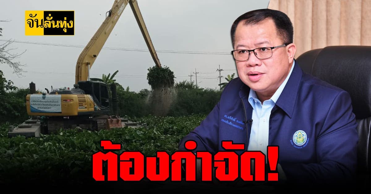 กรมชลฯเร่ง กำจัดผัก ตบชวาหลังพบ 7  ล้านตัน