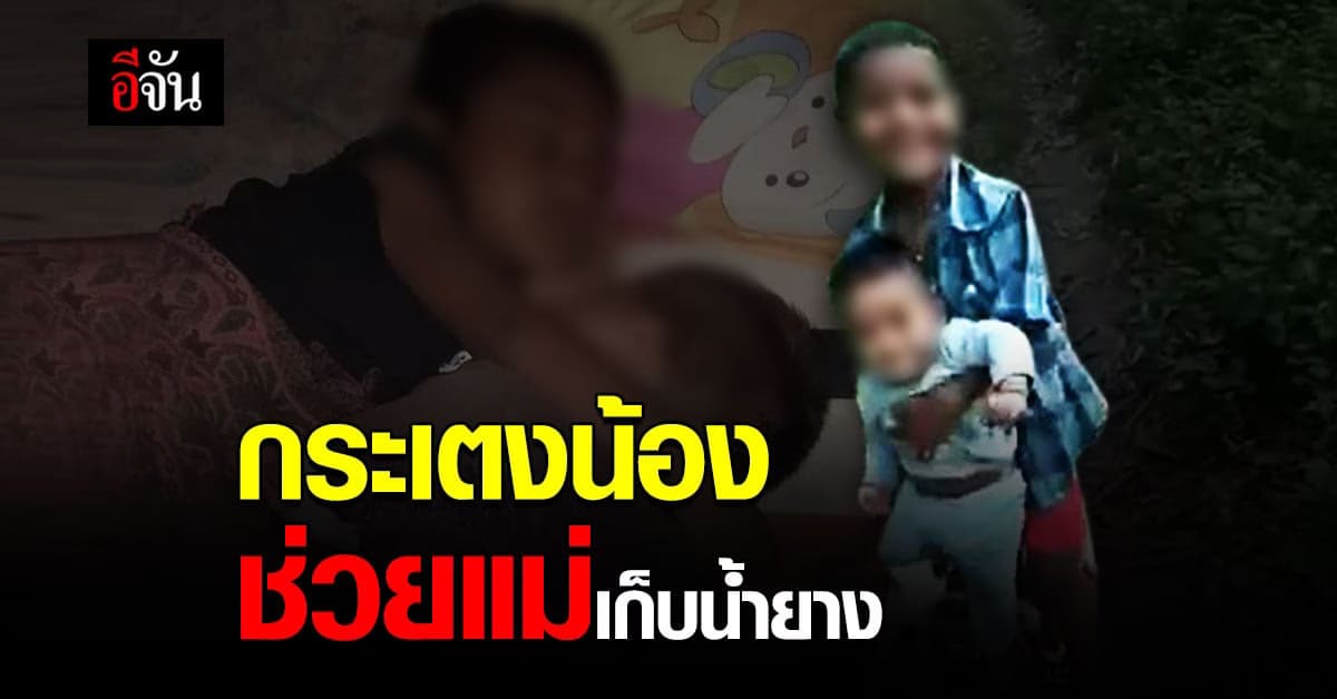 แม่ตกงาน เล่าทุกข์ เก็บน้ำยาง ได้เงินสัปดาห์ละ 400 บาท กับ 5 ชีวิตที่ต้องเลี้ยงดู