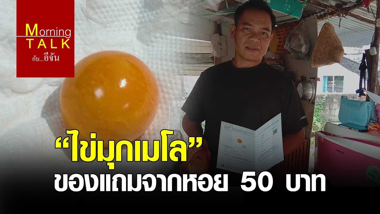 “ไข่มุกเมโล” ของแถมจากหอย 50 บาท