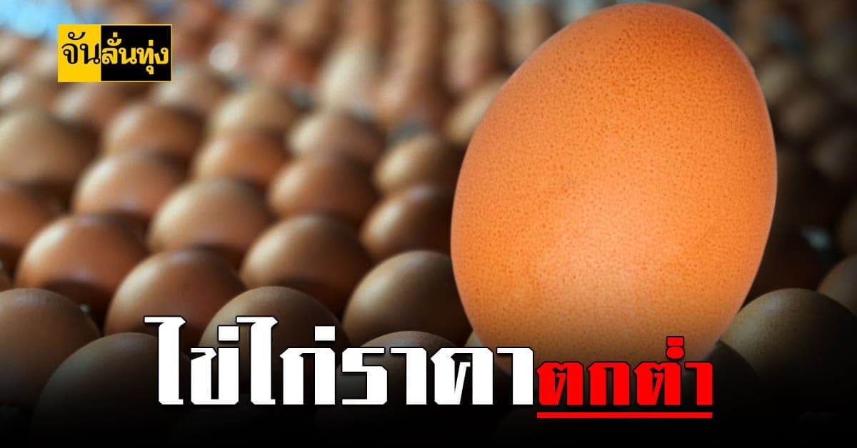 กระทรวงเกษตรฯ เร่งแก้ไขปัญหา ไข่ไก่ ราคาตกต่ำ