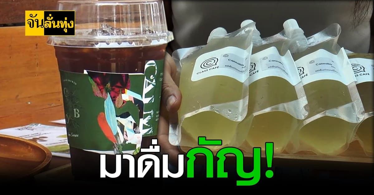ม.สุรนารี โคราช จับมือร้านกาแฟชื่อดัง ผลิตเครื่องดื่มผสมกัญชา