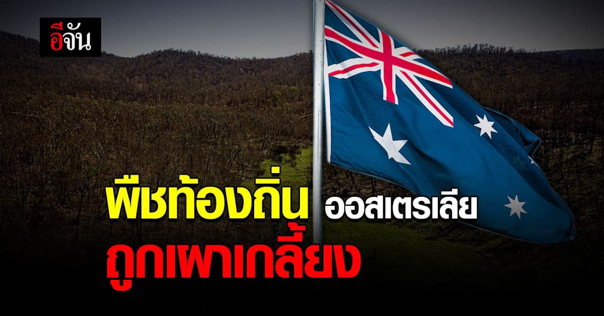 พืชออสเตรเลีย กว่า 100 สายพันธุ์ ถูกไฟป่า “ฤดูร้อนสีดำ” เผาเกลี้ยง ในช่วง 2 ปีที่ผ่านมา