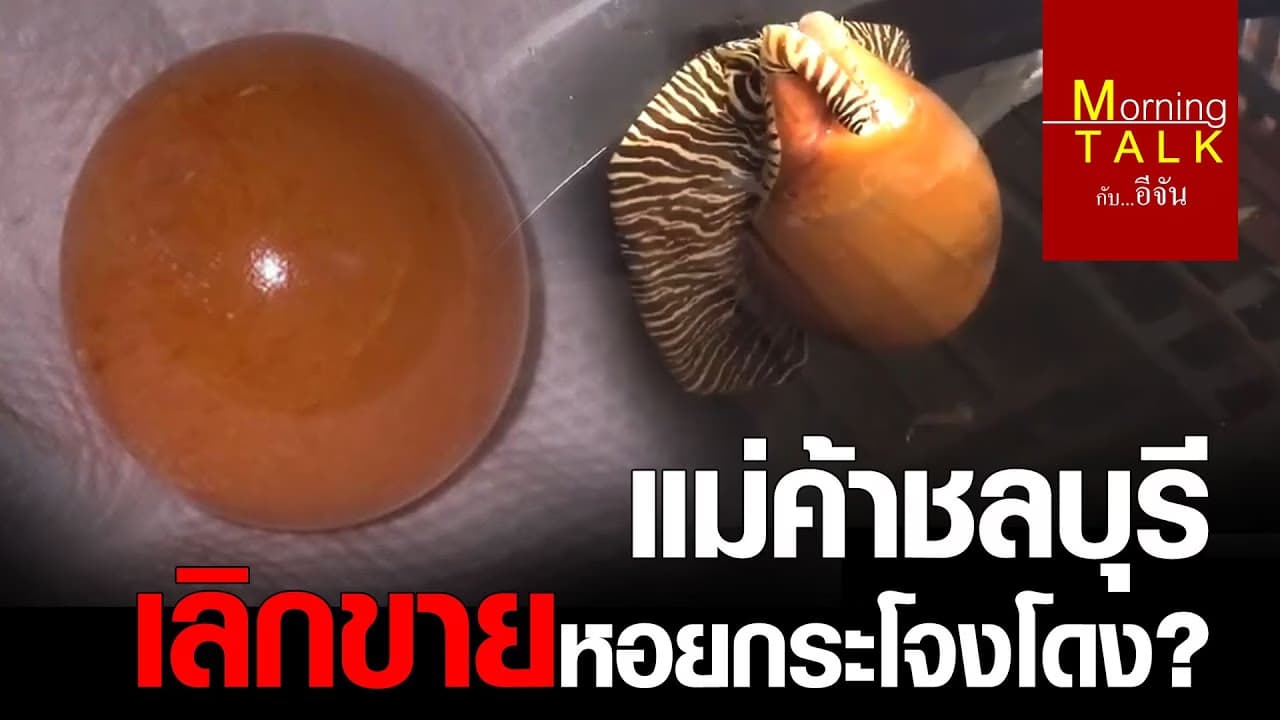 มุกเมโล เป็นเหตุสังเกตได้!!!