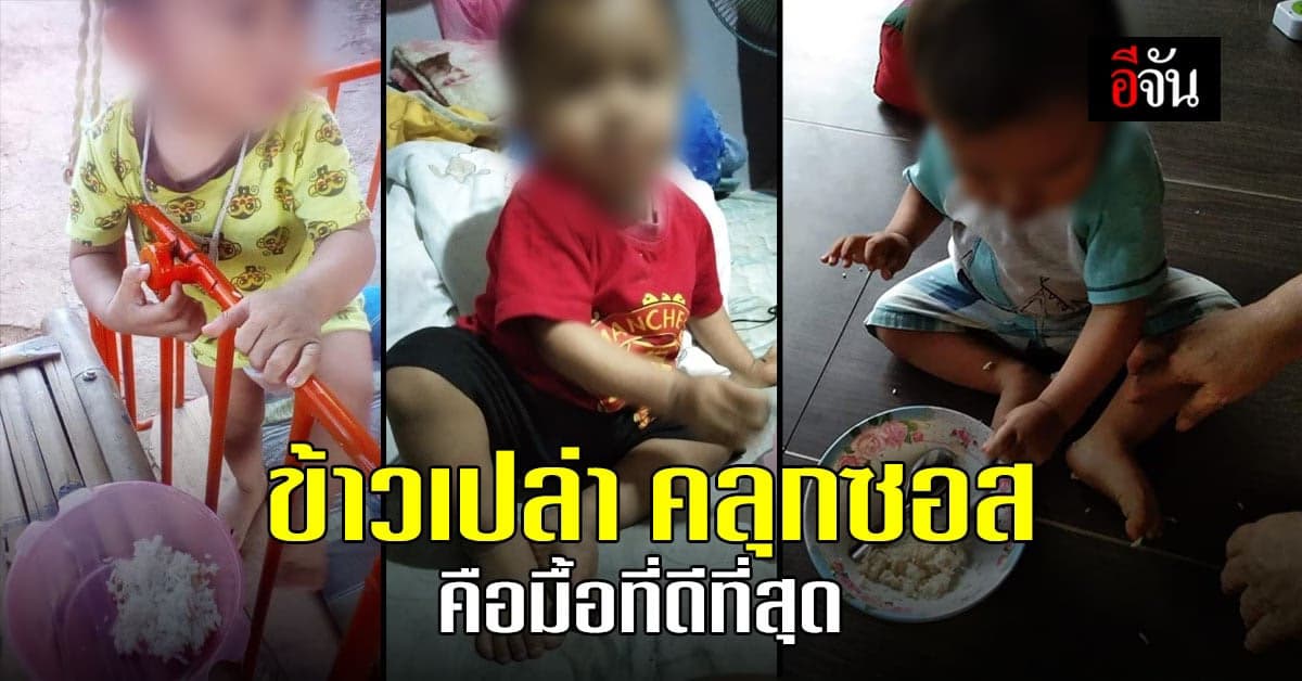 ข้าวเปล่า คลุกซอส คือมื้อที่ดีที่สุด