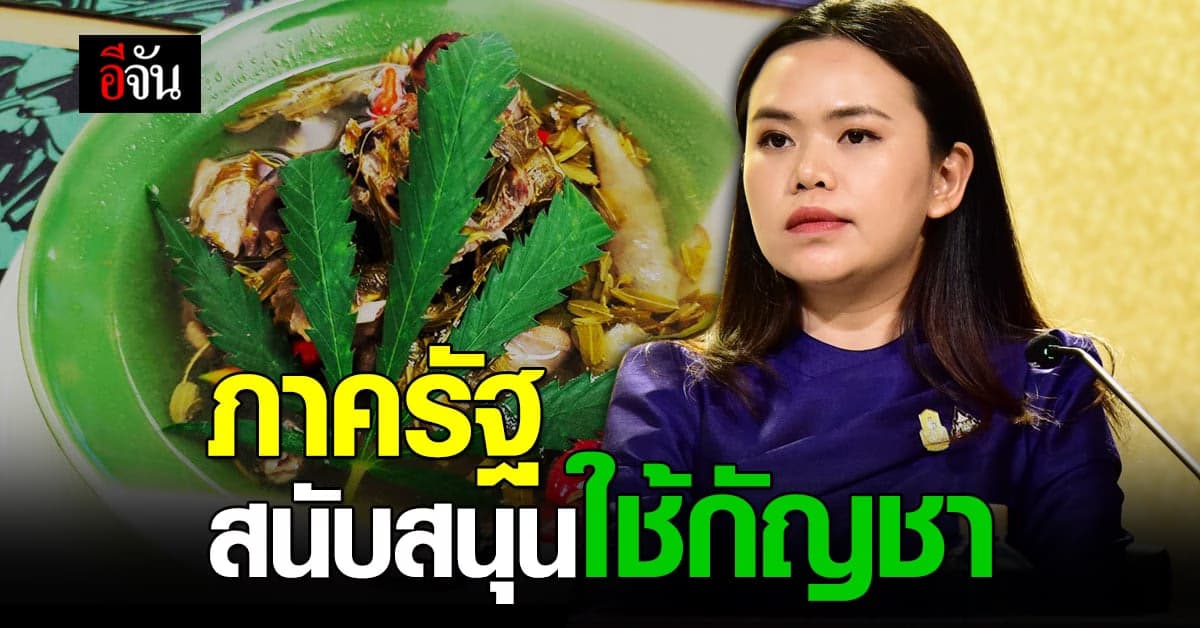 รองโฆษกรัฐบาล เผย ประชาชนทุกครัวเรือนมีสิทธิ ปลูกกัญชา ได้