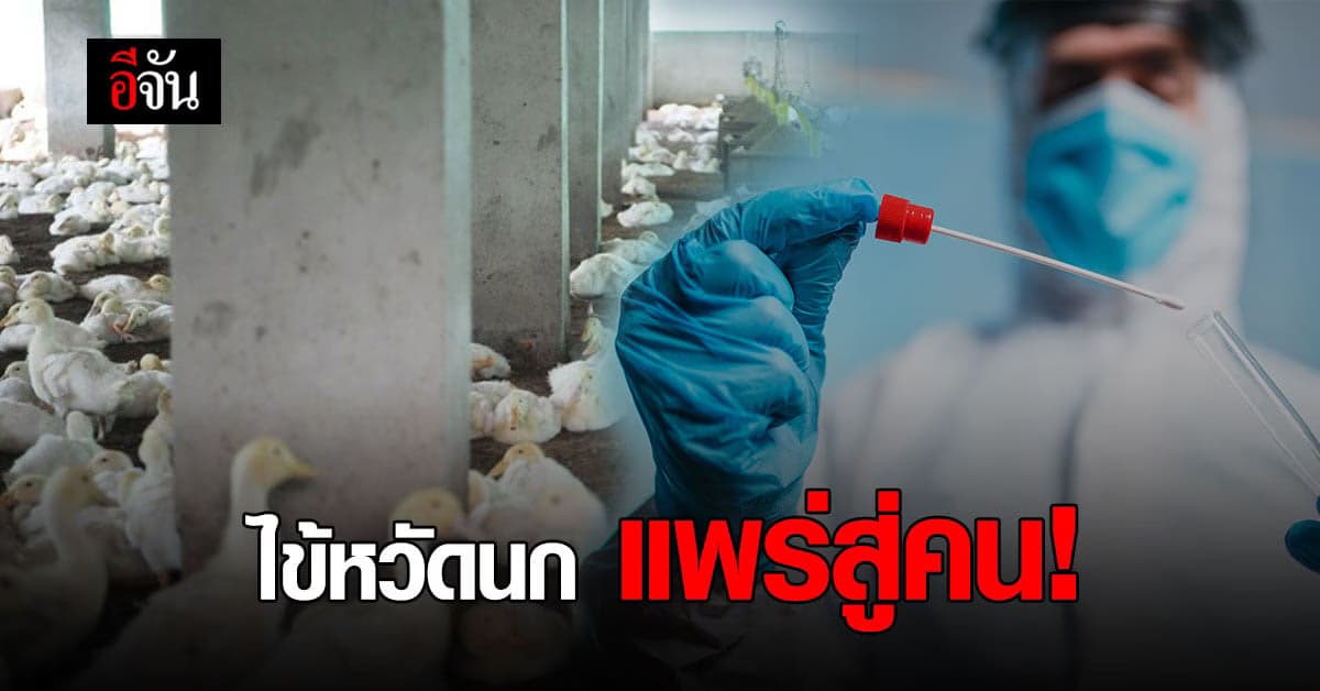 ครั้งแรกของโลก! รัสเซียพบผู้ติดเชื้อ ไข้หวัดนก H5N8