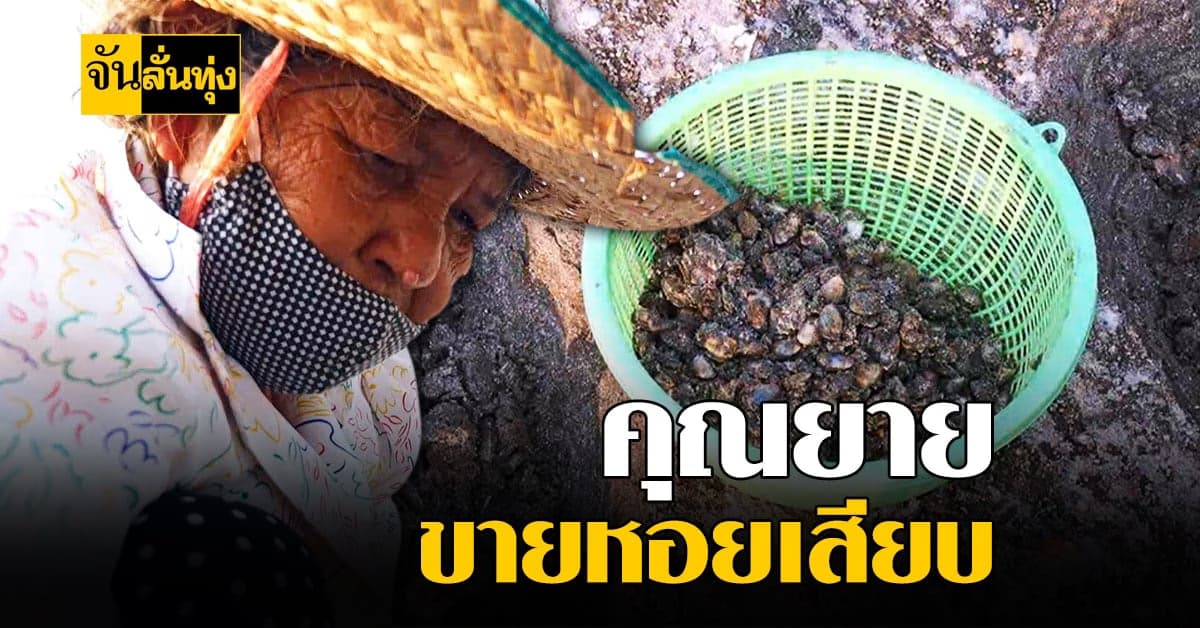 ยายยังแจ๋ว ขุดทราย หาหอยเสียบ สร้างสุข สร้างรายได้