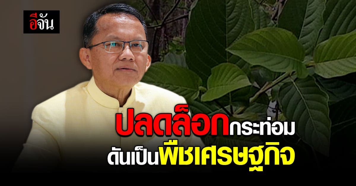 ส.ว.ผ่านร่าง ปลดล็อกกระท่อม ยุติธรรม เดินหน้าทำกฎหมายรองต่อ