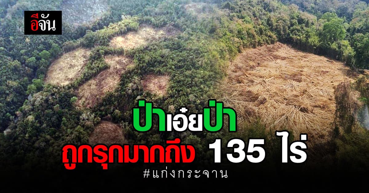 บินสำรวจ ป่าแก่งกระจาน พบถูกถาง – เผา มากถึง 135 ไร่