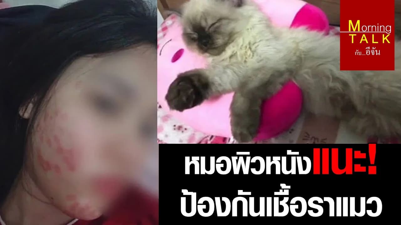 เชื้อราแมว