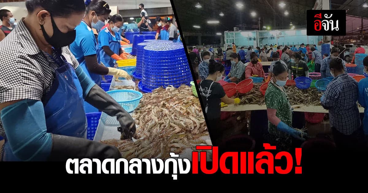 คึกคัก ! ตลาดกลางกุ้ง สมุทรสาคร กลับมาเปิดขายอีกครั้ง