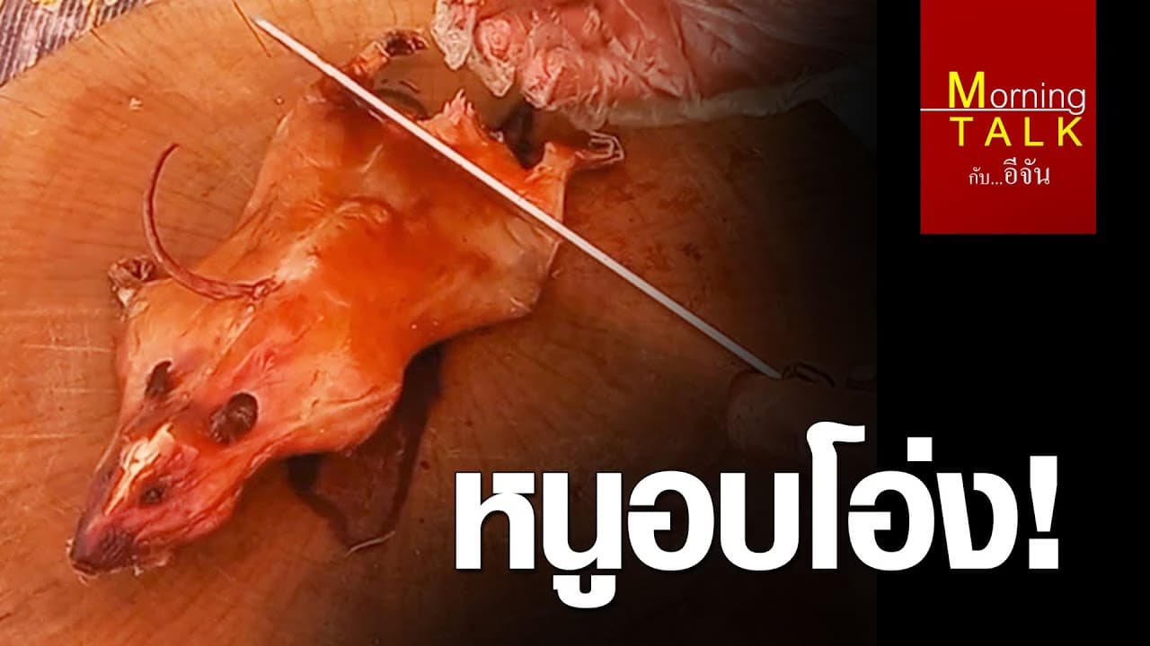 (Video) หนูอบโอ่ง