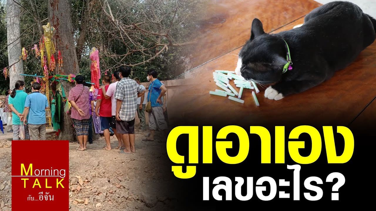 (Video) ดูเอาเองเลขอะไร