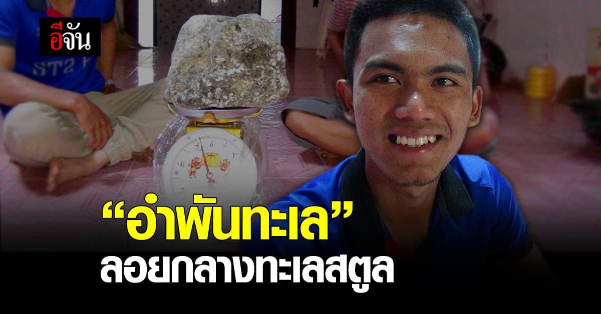 อู้หู! อำพันทะเล หรือ อ้วกปลาวาฬ ของล้ำค่าที่หายากจากทะเล