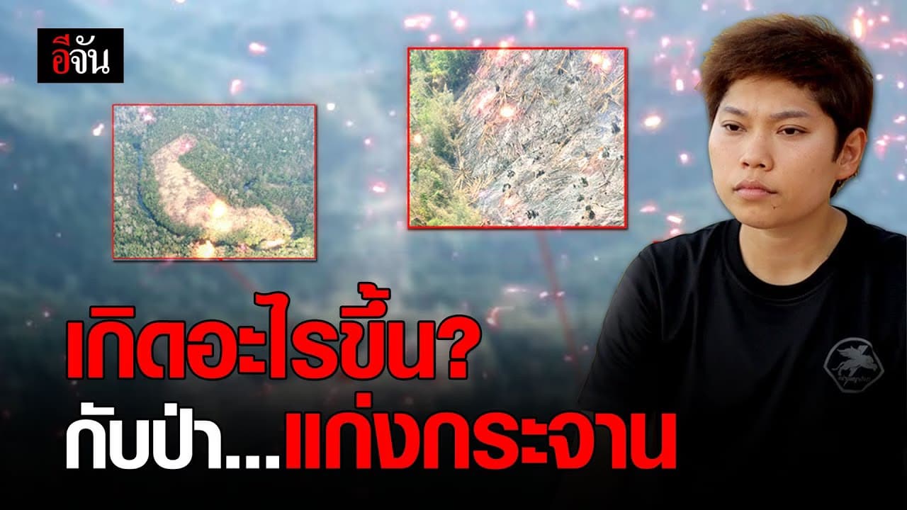 (Video) เกิดอะไรขึ้นกับป่าแก่งกระจาน?