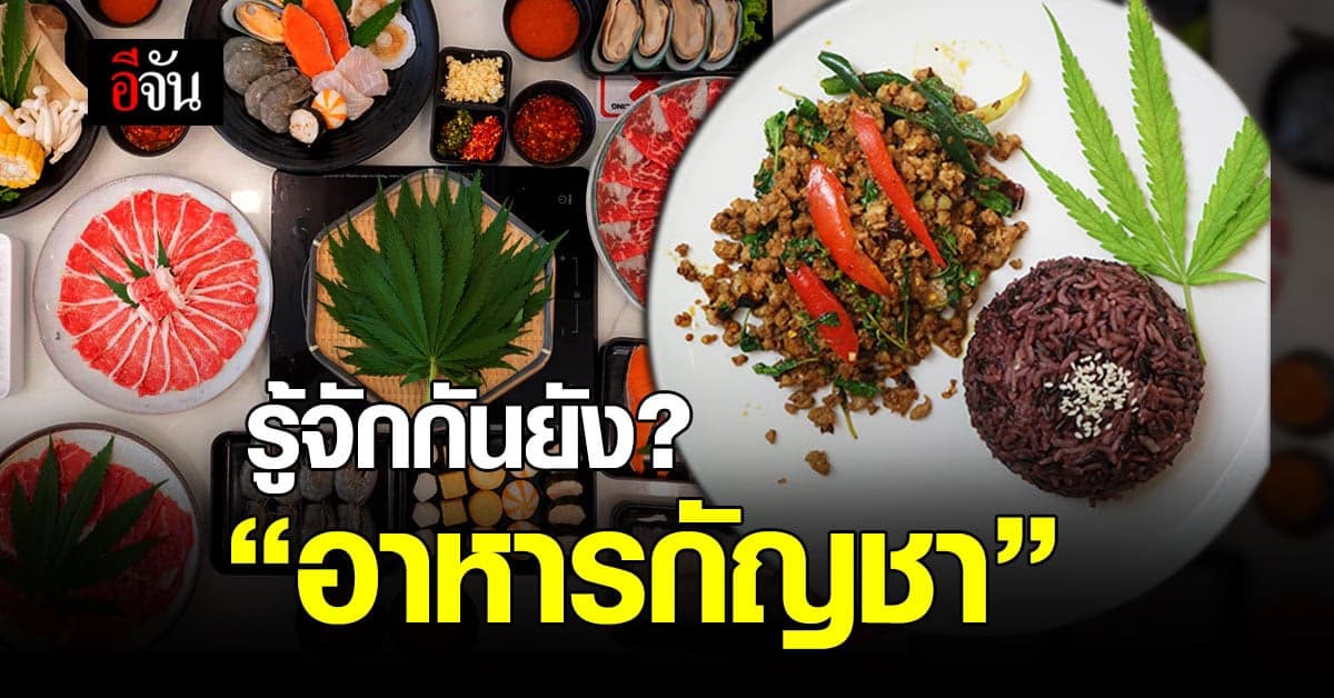 อยากลองต้องรู้ก่อน! อาหารจาก กัญชา มีประโยชน์หรือโทษยังไงบ้าง
