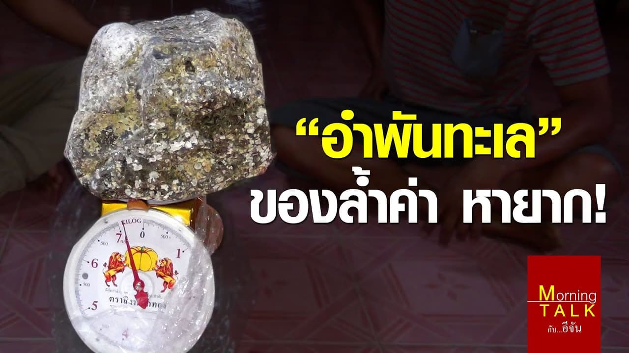 (Video) อำพันทะเล