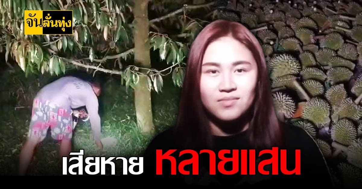 ชาวสวน ทุเรียนจันทบุรี ช้ำหนักเจอพิษพายุฤดูร้อน