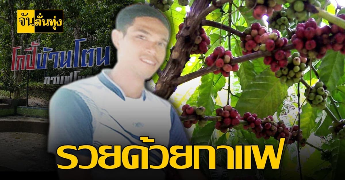 เกษตรกรบ้านโตนปาหนัน สตูล จับกลุ่มวิสาหกิจ ขายกาแฟ สร้างรายได้