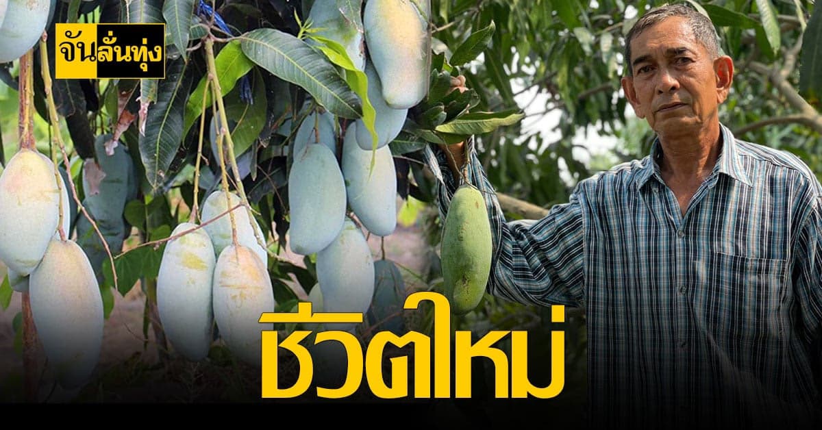 ข้าราชการทหาร ผันตัวทำสวนมะม่วง เป็น อาชีพหลังเกษียณ สร้างรายได้