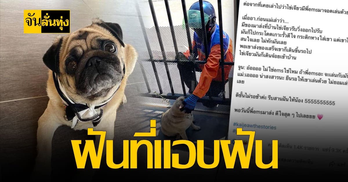 ฉันยืนรอพี่ ไปรษณีย์ ที่หน้าบ้านทุกวันเลยนะ!