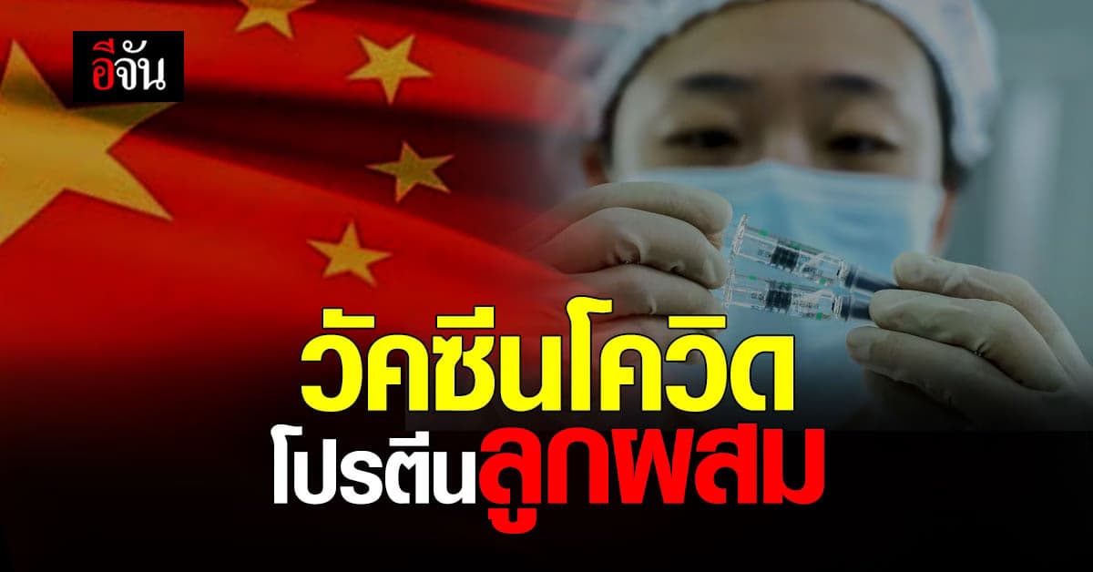 จีน เผยผลงานวิจัย วัคซีนโควิด โปรตีนลูกผสม ใช้ได้ผลดี