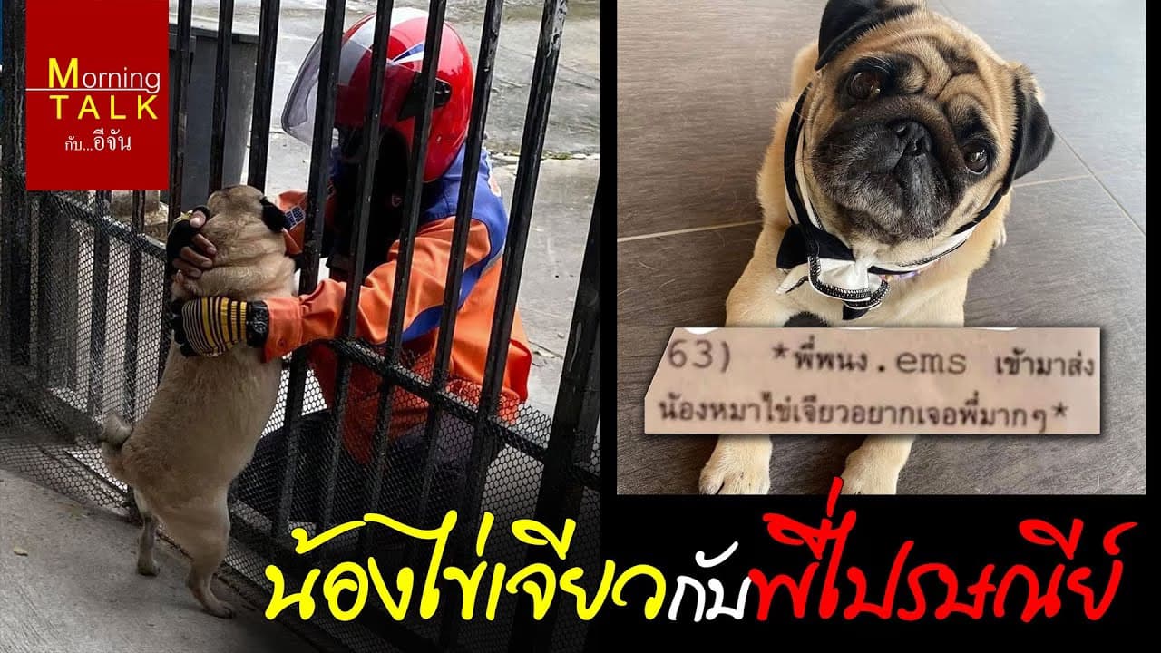 (Video) เจ้าไข่เจียว&พี่ไปรษณีย์