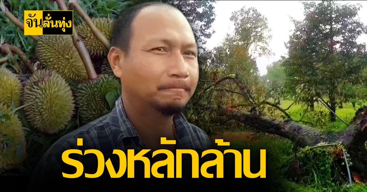 ชาวสวน ทุเรียนจันทบุรี เศร้า!ทุเรียนเสียหาย หลักล้าน