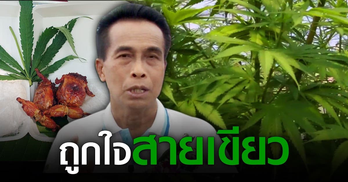 พาชม! ตลาดกัญชา ที่แรกในนครพนม