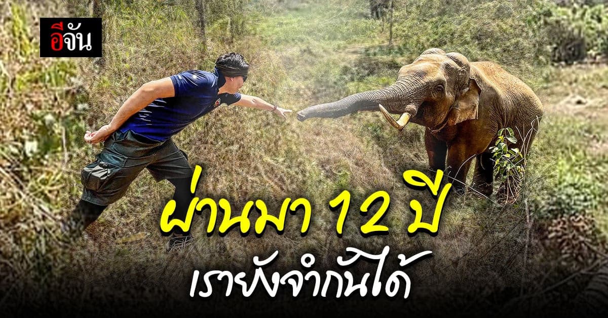 สุดประทับใจ! ช้างป่า จำคุณหมอที่เคยรักษาให้ได้ แม้จะผ่านมาแล้วกว่า 12 ปี