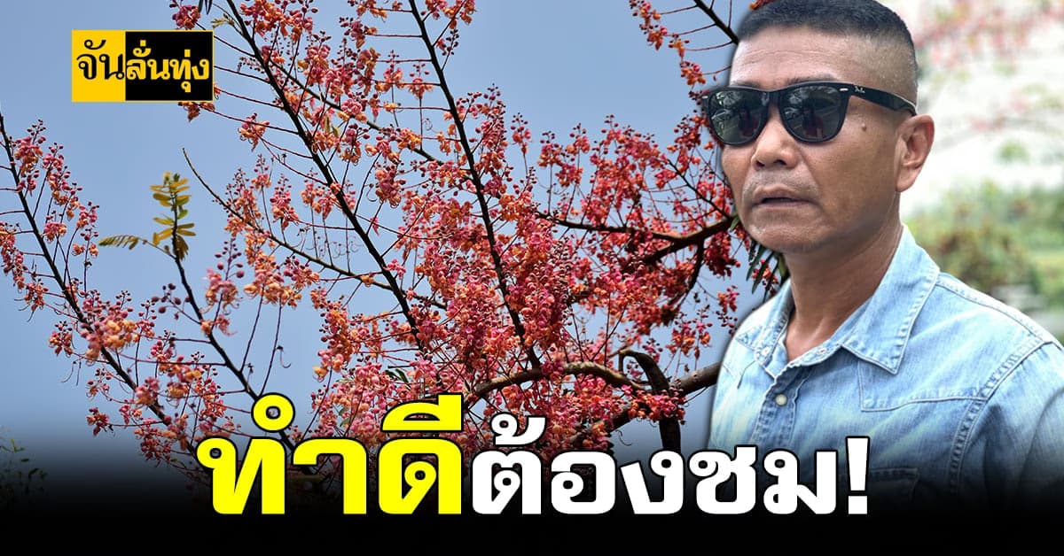 ดาบตำรวจตราด ทุ่มเงินกว่าล้านบาท ปลูก ซากุระเมืองไทย เพื่อส่วนรวม