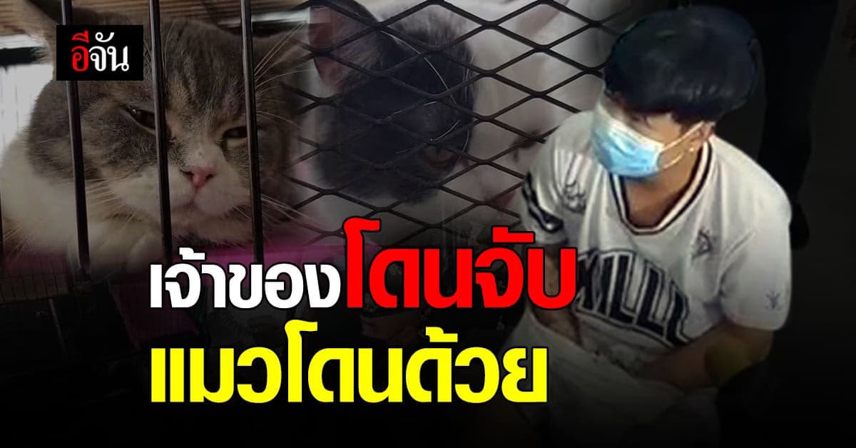 แมวโดนด้วย ขยายผลยึดทรัพย์แก๊งยาเสพติด กุ๊ก ระยอง