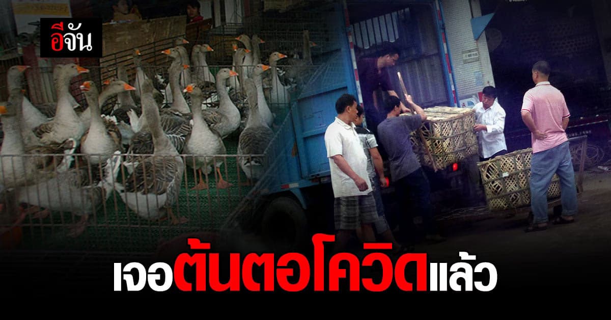 WHO เตรียมรายงานผลการสอบสวนหาต้นตอโควิด