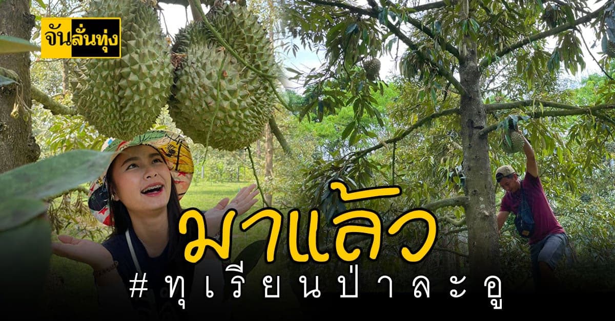 อีจัน ขาย! #ทุเรียนป่าละอู วันแรก