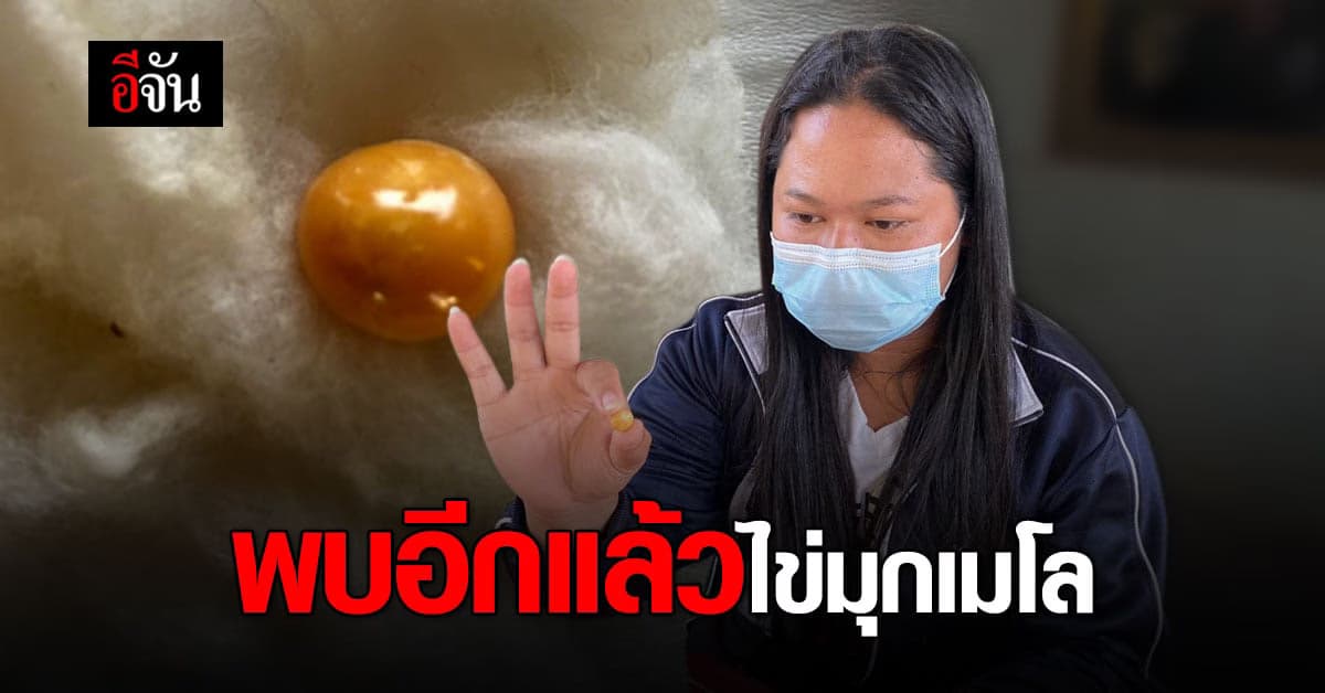 สตูล พบอีกแล้ว ! ไข่มุกเมโล