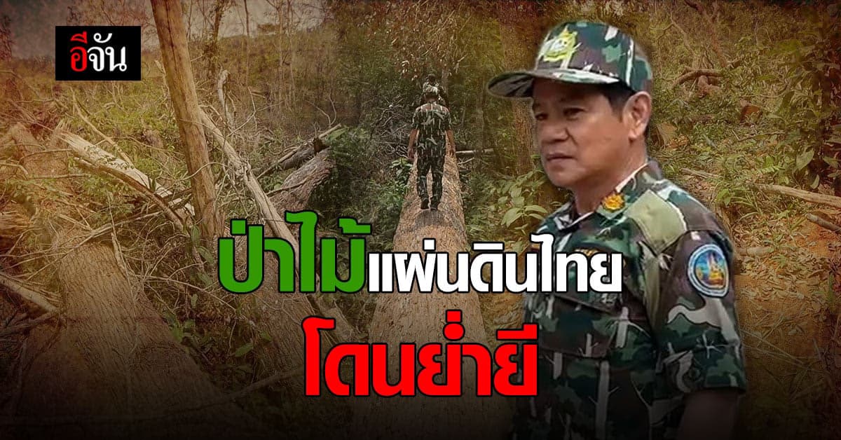 ป่า แผ่นดินไทย โดนย่ำยี สะเทือนหัวใจ ผู้พิทักษ์ป่า