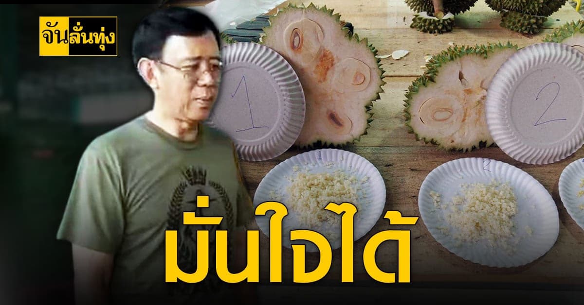เจ้าของล้ง ทุเรียนจันทบุรี ตรวจทุเรียนอ่อน ก่อนส่งต่างประเทศ