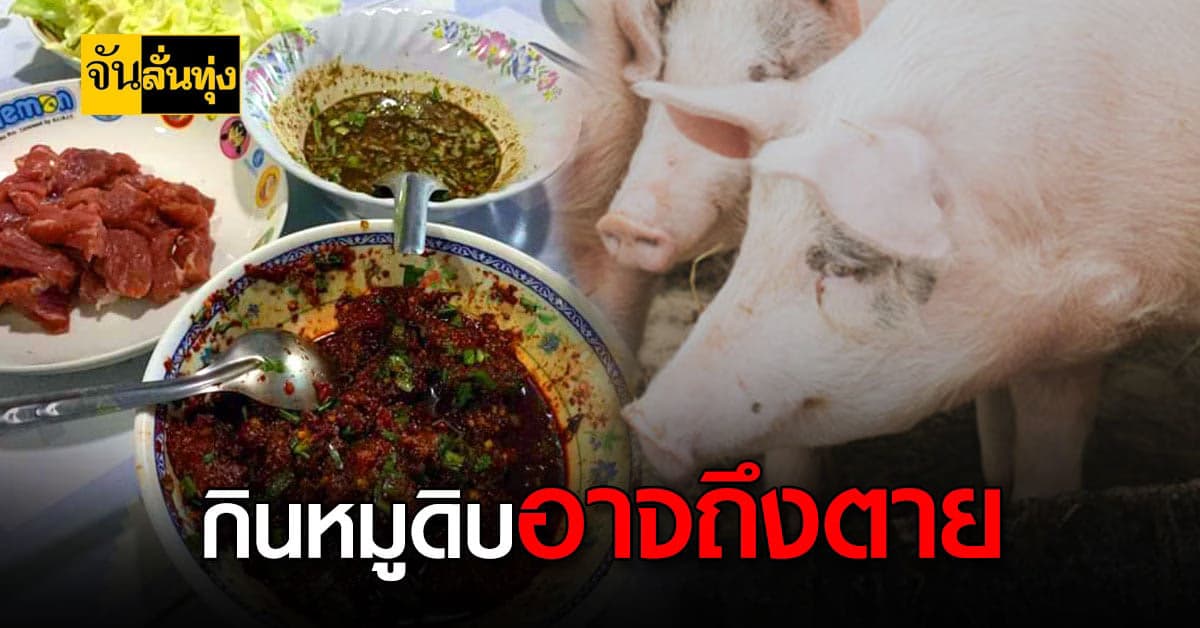 กรมควบคุมโรค เตือนกินหมูดิบเสี่ยงโรค ไข้หูดับ พบตายแล้ว 3 ราย