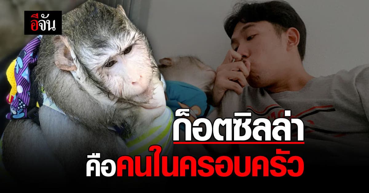 เปิดใจเจ้าของ น้องก็อตซิลล่า อยากให้กลับมาอยู่บ้านเหมือนเดิม