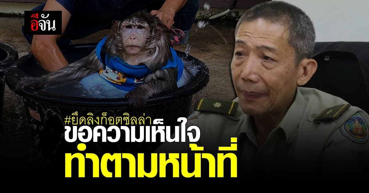 เหยี่ยวดง ขอความเห็นใจ หลังเจอดราม่า ลิงแสม ก็อตซิลล่า