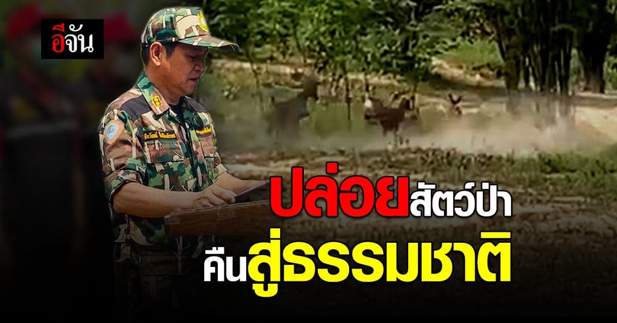 สัตว์ป่าต้องอยู่ในป่า! เขตรักษาพันธุ์สัตว์ป่าภูสีฐาน เปิดโครงการ “ส่งสัตว์คืนวนา เพื่อป่าสมบูรณ์”