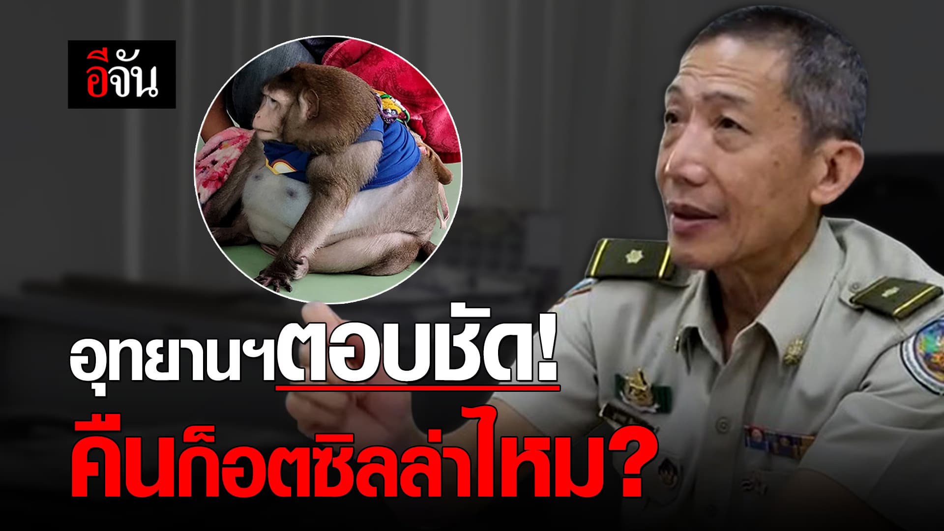 (Video) อุทยานฯตอบชัด! คืนก็อตซิลล่าไหม?