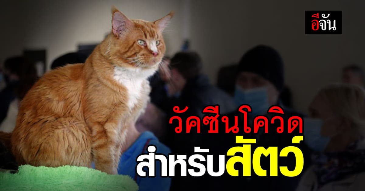 รัสเซีย อนุมัติ วัคซีนโควิด สำหรับ สัตว์