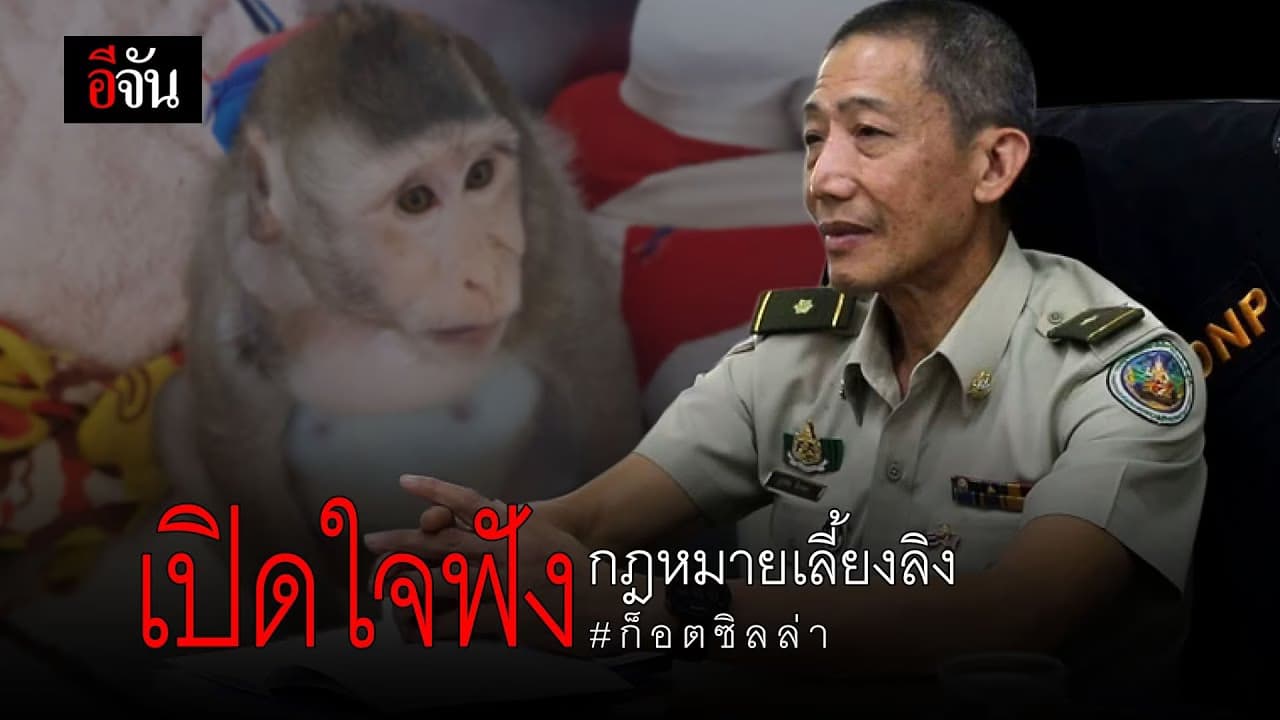 (Video) เปิดใจฟัง กฎหมายเลี้ยงลิง #ก็อตซิลล่า​