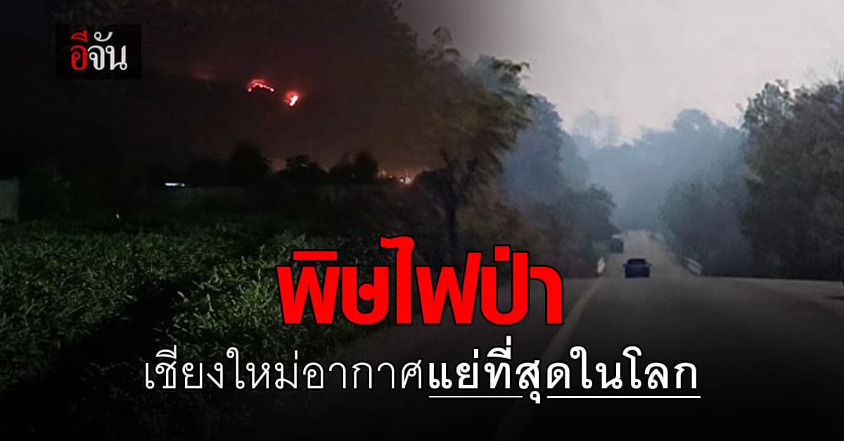 เชียงใหม่ ไม่ไหวเเล้ว ค่าฝุ่นพิษพุ่ง ทะยานสู่ อันดับ 1 เมืองอากาศเเย่ ที่สุดในโลก