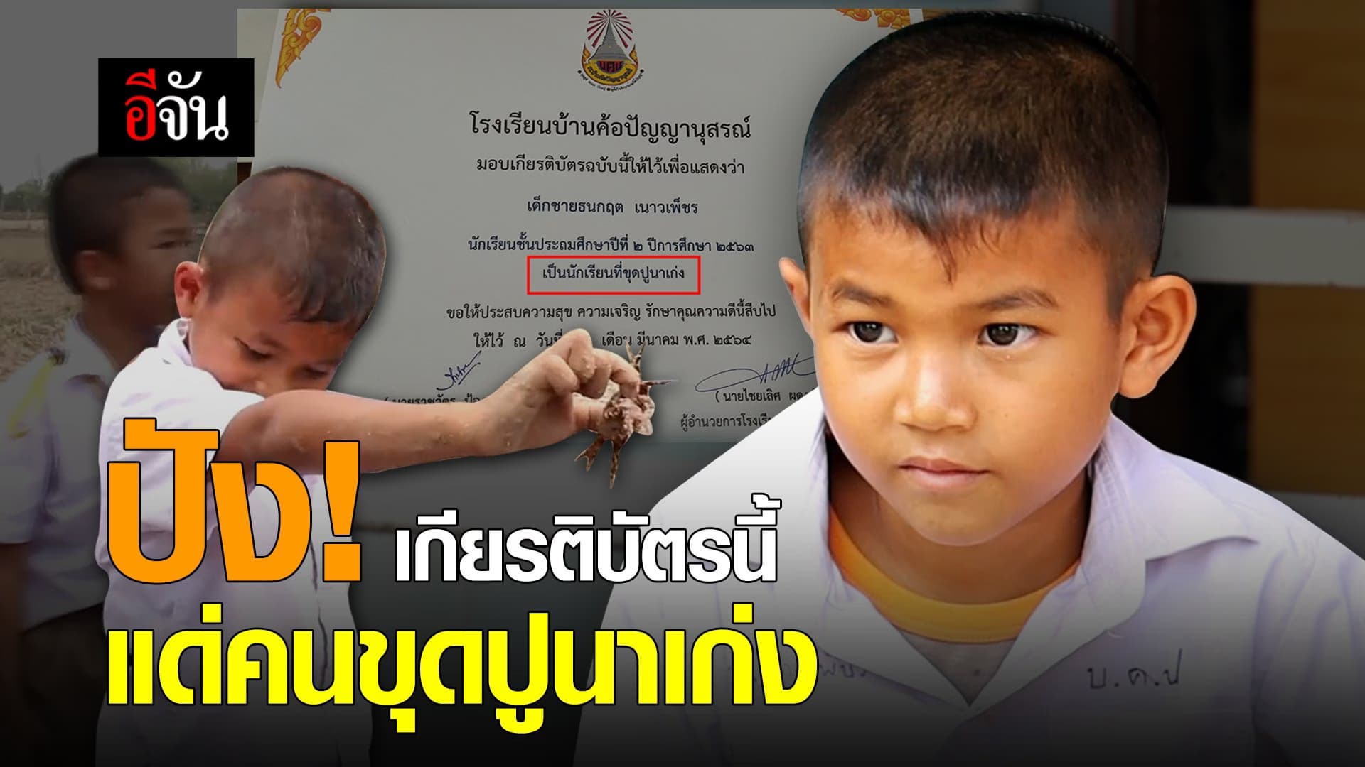 (Video) ปัง! เกียรติบัตรนี้ แด่คนขุดปูนาเก่ง