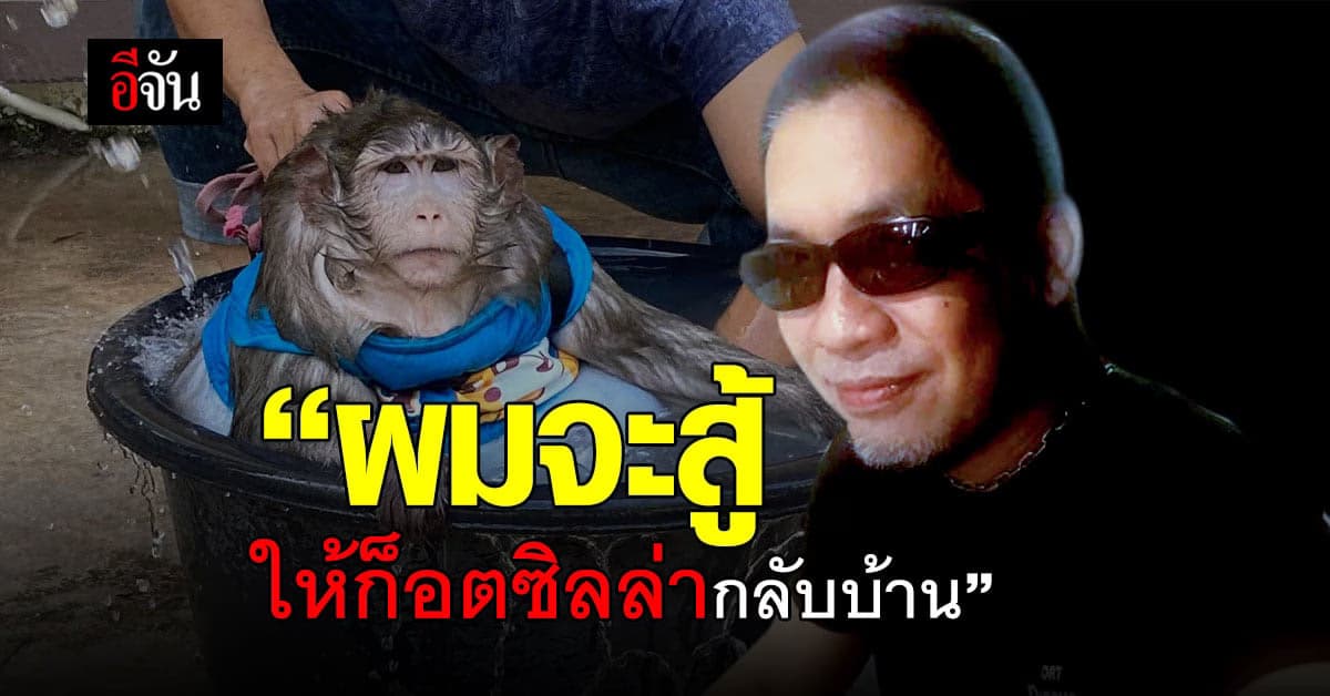 องค์กรสวัสดิภาพสัตว์ ขอสู้! ประกาศล่ารายชื่อพา ก็อตซิลล่า คืนเจ้าของ